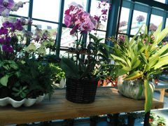 -南通洲际绿博园