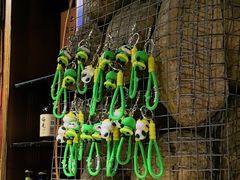 -渝味川菜(夜宵航母店)