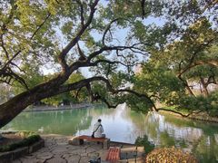 -西溪国家湿地公园