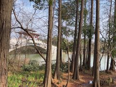 -东湖落雁景区