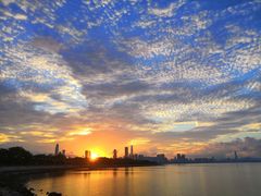 -欢乐海岸椰林沙滩-2025湾区超级灯会