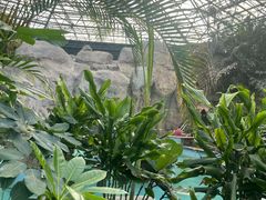 -瑞阁温泉酒店温泉中心