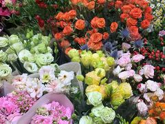 -双季花艺园艺市场(浦东店)