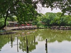 -西溪国家湿地公园