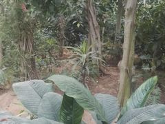 -龙口南山旅游景区