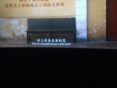 -幸福蓝海国际影城(崇安寺T12店)