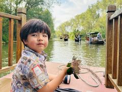 -溱湖国家湿地公园