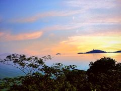 -上海市保健医疗中心