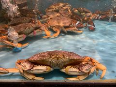 -宴西湖(滨湖公园店)