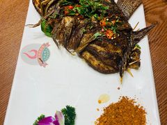 -老滇山寨•云南特色菜•地方菜•民族风情歌舞表演(金碧店)