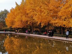 -玲珑塔公园