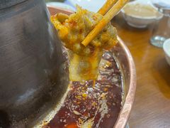 -楼外楼大刀肉传统火锅居(博学路店)