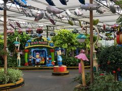 -南宫五洲植物乐园