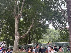 -成都动物园