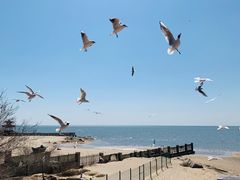 -老虎石海上公园