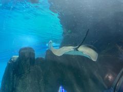 -福州罗源湾海洋世界旅游区