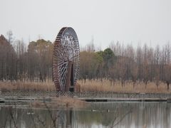 -苏州太湖国家湿地公园