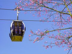 -广州市白云山风景名胜区