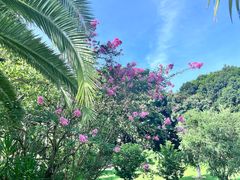 -厦门悦华酒店·绿庭主题自助餐厅