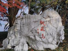 -金鸡湖桃花岛
