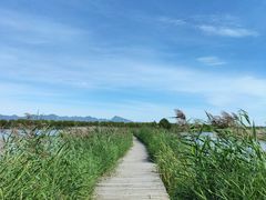 -野鸭湖国家湿地公园