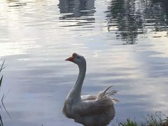 -成都中医药大学(温江校区)