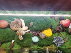 -滇野云南野生菌餐厅(陕西南路店)