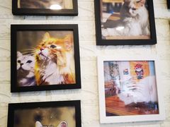 -平行世界·猫咖(首经贸店)