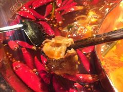 -辣伍鲜毛肚老火锅(元一店)