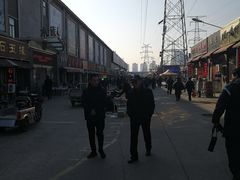 -中环花鸟鱼虫市场
