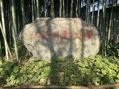 -上海醉白池公园