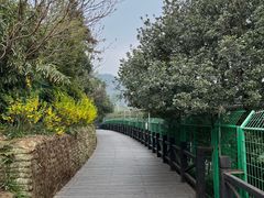 -树山生态村