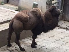 -昆明动物园