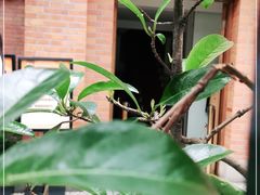-刘长胜故居