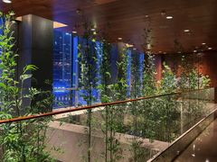 -广州富力君悦大酒店空中花园