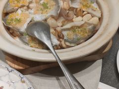 -新吉士·上海菜(浦东LCM置汇旭辉店)