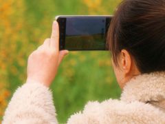 -白鹭湾湿地公园