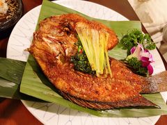 -紫滇源云南生态菜(丹凤街店)