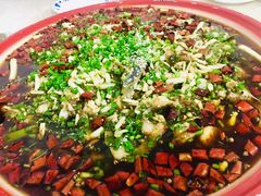 来凤鱼-东吴霸王兔(松青路店)