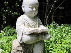 -武陵山森林公园