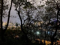 -临平公园(临平街道)