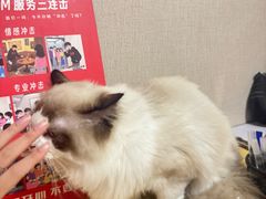 -剧狐剧本杀(徐汇1号店)