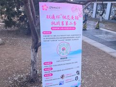 -桃花堤公园