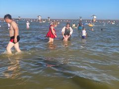 -碧海金沙