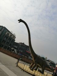 -恐龙探索乐园(磁器口店)