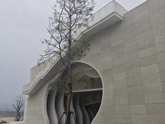 -中国宣纸文化园