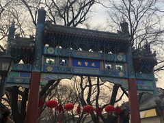 -北京国子监胡同