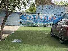 -宠物寄养训练学校