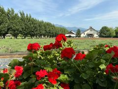 -富田农场