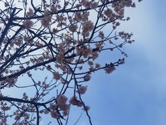 -昆山城市生态森林公园